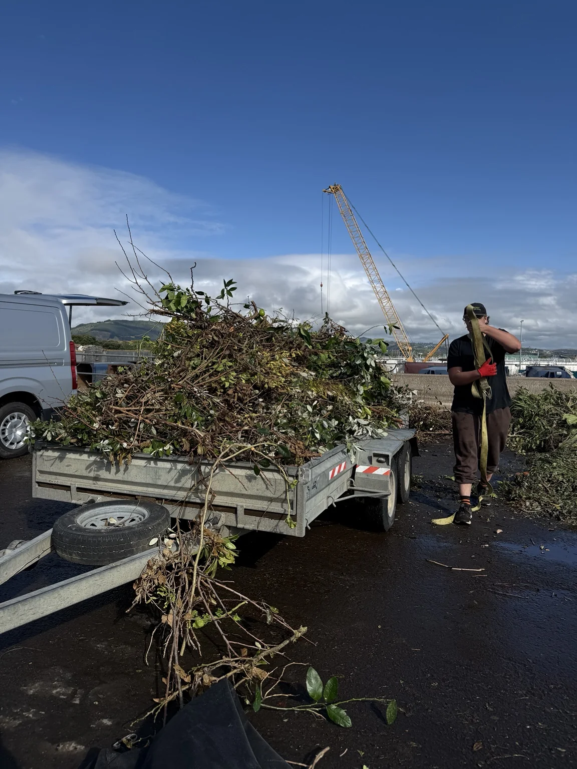 Trailer loaded with green waste for removal